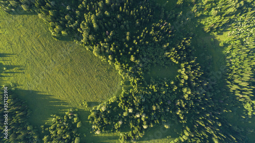 Aerial top: mountain forest, texture of meadow view from above. Drone's Eye - tree green background. high-quality back for design and layout, the concept of summer meadows bordering an array of trees
