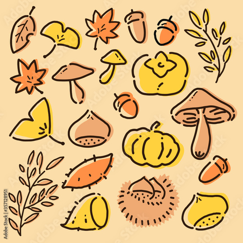 Autumn illustration material and seamless pattern.