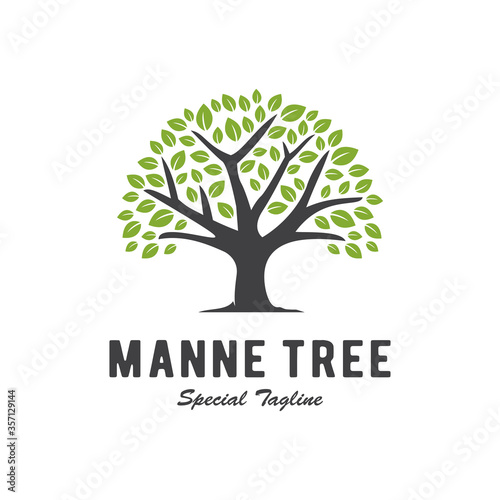 tree logo concept, plant design template