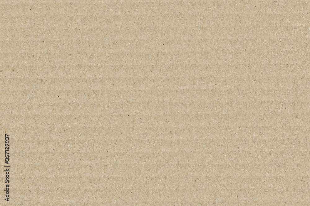 Fototapeta premium Cardboard texture. Carton box surface backgrond. Brown craft paper backdrop