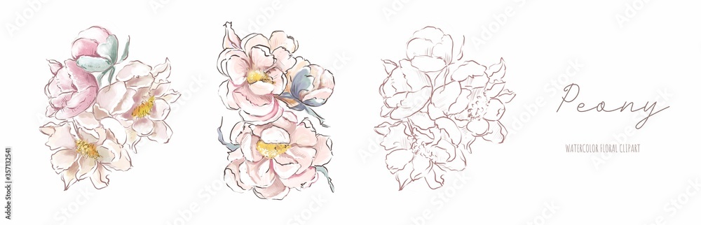 Flowers peonies leaves isolated on a white background bouquets