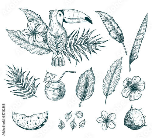 Hand drawn vector tropical summer sketch set with palm tree leaves, coconut drink, hibiscus and plumeria flowers and juicy watermelon