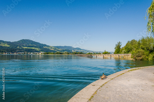 Rapperswil, Zürichsee, Holzsteg, Holzbrücke, Wanderweg, Seedamm, See, Naturschutz, Wasservögel, Hurden, Pfäffikon, Schilf, Schifffahrt, Sommer, Schweiz photo