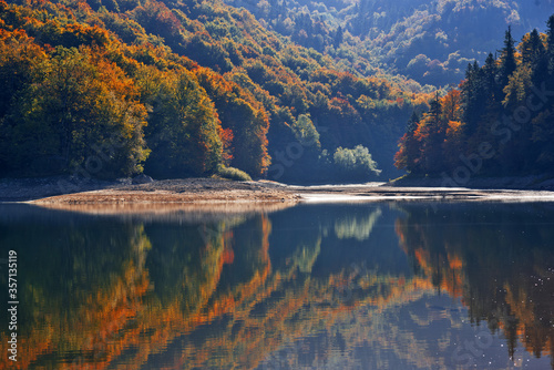 Fototapeta Naklejka Na Ścianę i Meble -  Autumn forest with reflection on Biogradsko lake in Montenegro