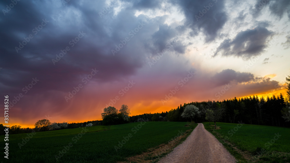 Germany, Red burning sunset sky over endless green trees and meadow of black forest nature landscape