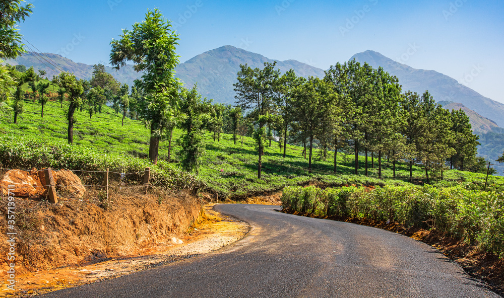 The national highway along with Tea Plantation, Munnar, Kerala, India.