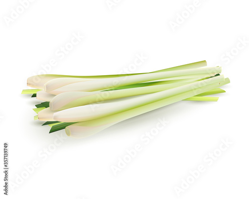 lemongrass. Realistic vector illustration, 3d