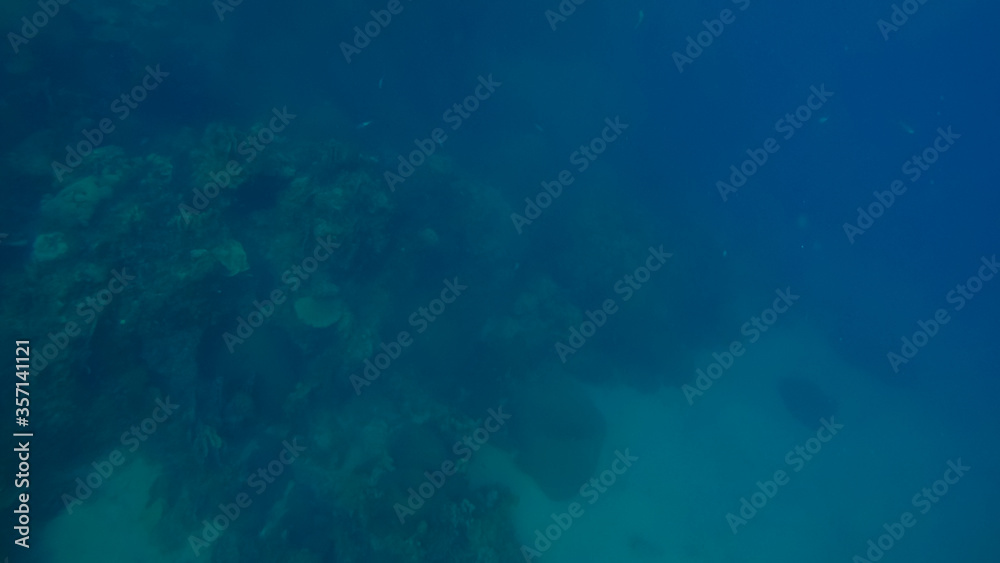 Panoramic scene under water and blue background