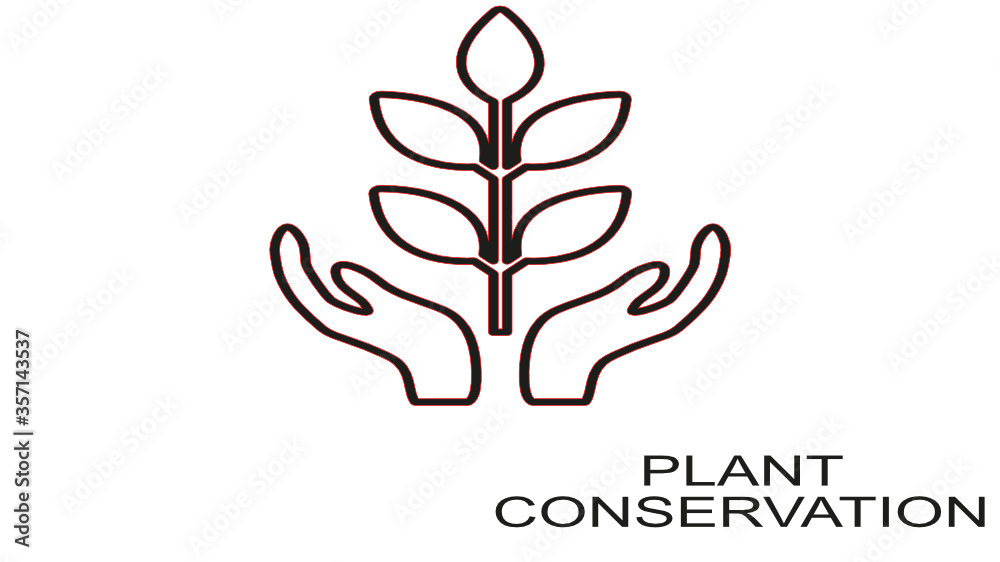 Obraz premium vector tree icons