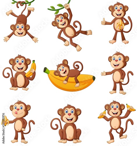 Set of monkey cartoon different poses. Vector illustration
