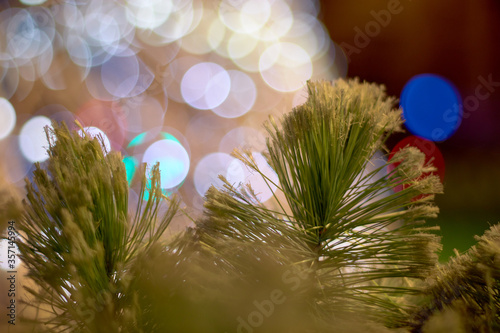 
Christmas tree branch with backlights