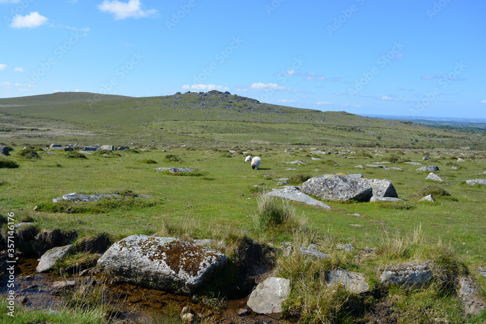 Longash Leat, granite boulders and sheep grazing near Merrivale in Dartmoor National Park, Devon, England