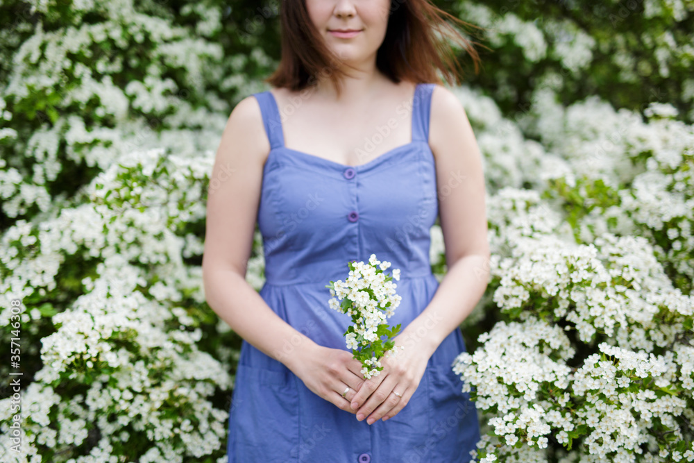 branch of blooming tree in female hands in summer garden branch of blooming tree in female hands in summer garden