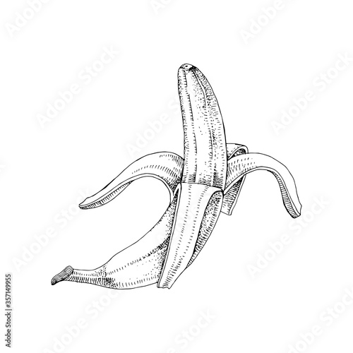 Half peeled hand drawn banana