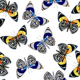 Colorful butterfly wings beauty summer insect seamless pattern