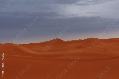 landscape at sunset in sahara desert © larrui