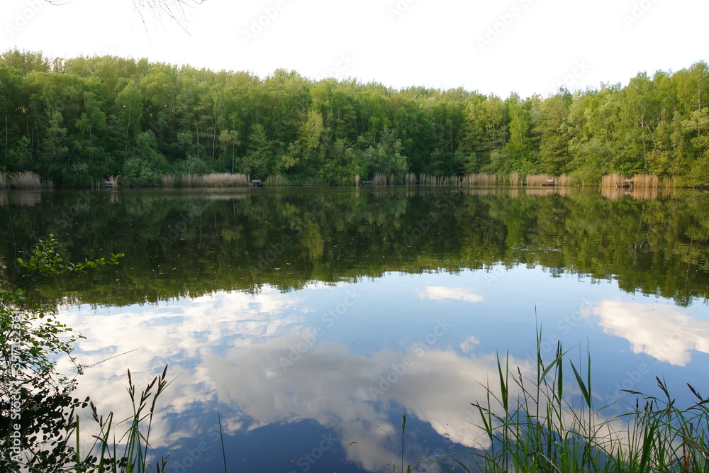 Fototapeta premium Small lake in the nature