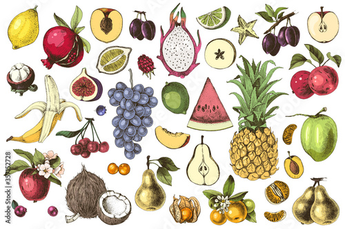 Fototapeta Naklejka Na Ścianę i Meble -  Hand drawn colorful fruits set