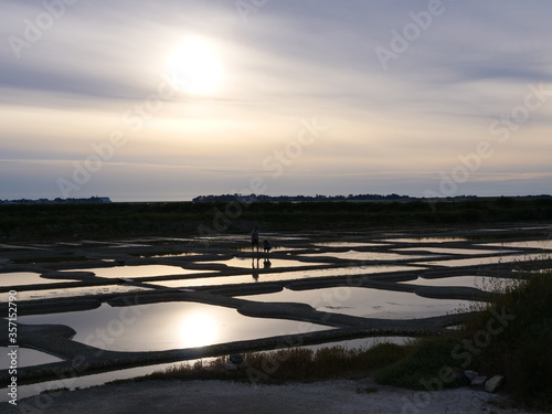 the salted marshes of Guerande in the west of France. may 2020