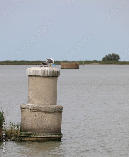 old concrete well for the extraction of methane gas from the lag photo