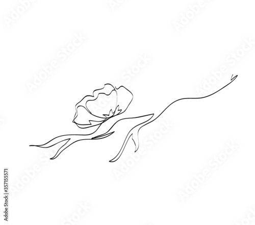 flower blooming in the branch single line art vector illustration, sakura