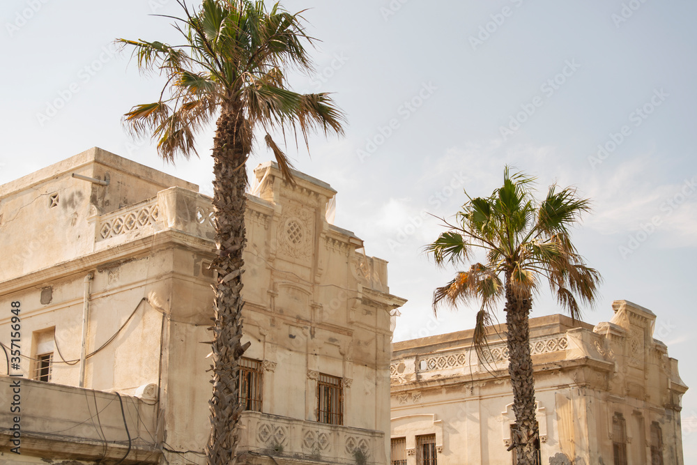 abandoned Mediterranean building with palm trees, blue sky, and sunlight horizontal
