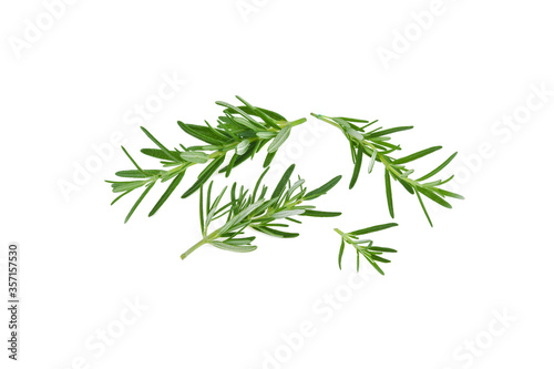 Fresh green rosemary isolated on a white background.
