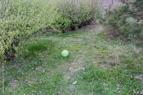 A green balloon lies in green bushes
