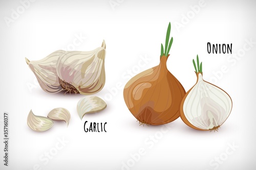 Set garden vegetables. Garlic cloves and onion in flat style. Spice plant condiment vector collection.