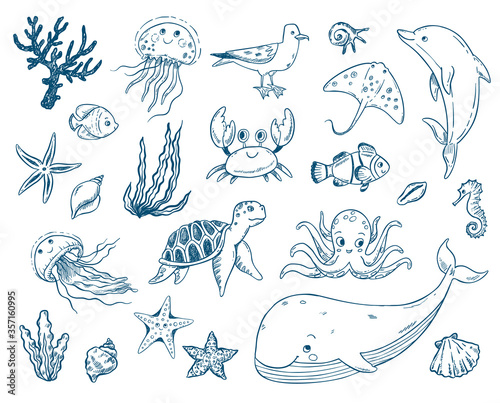 Vector doodle illustration set sea creatures and plants. Fish, turtle, whale, dolphin, jellyfish, octopus, sea horse, seaweed, molluscs. Cartoon coloring book undersea world.