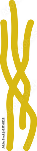 An illustration icon of Angel Hair pasta