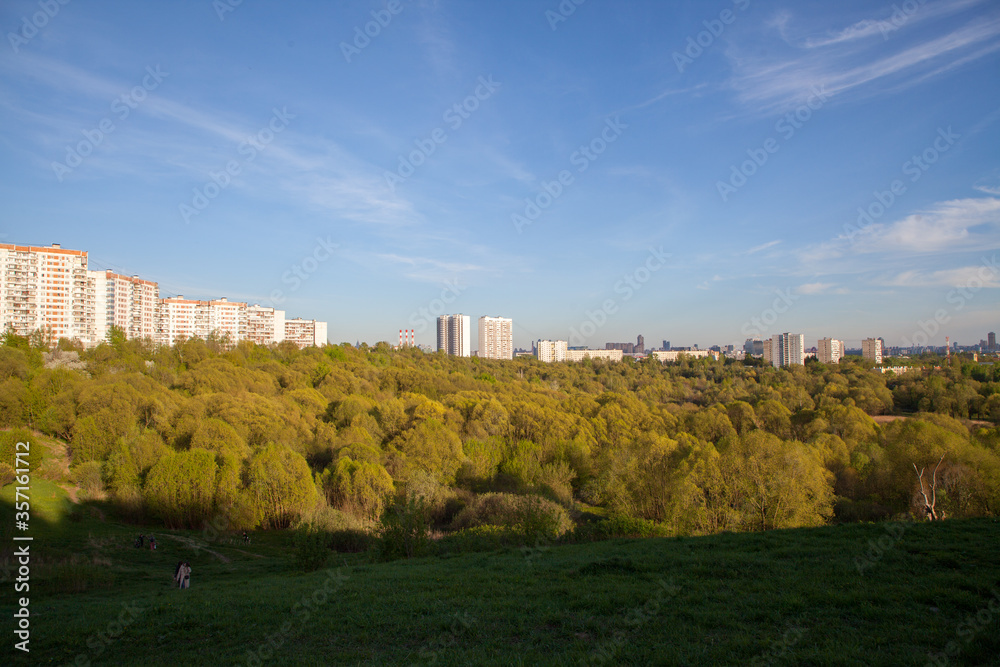 Multi-storey residential buildings in the distance, green park