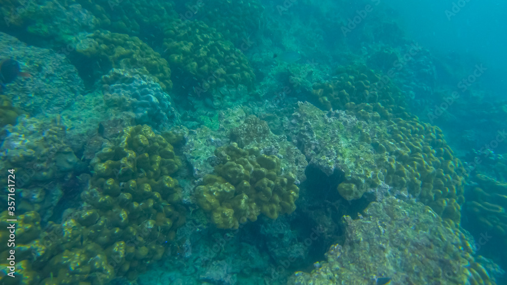 Panoramic scene under water and blue background