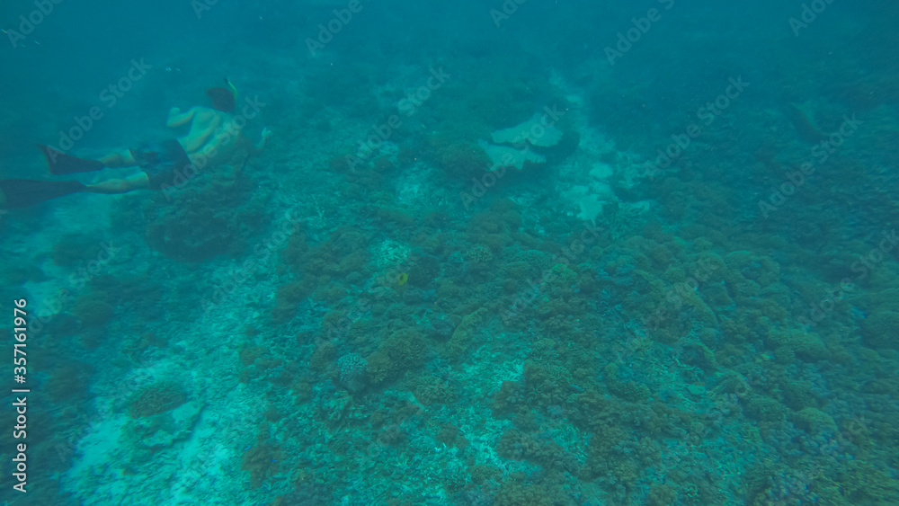 Fototapeta premium Panoramic scene under water and blue background