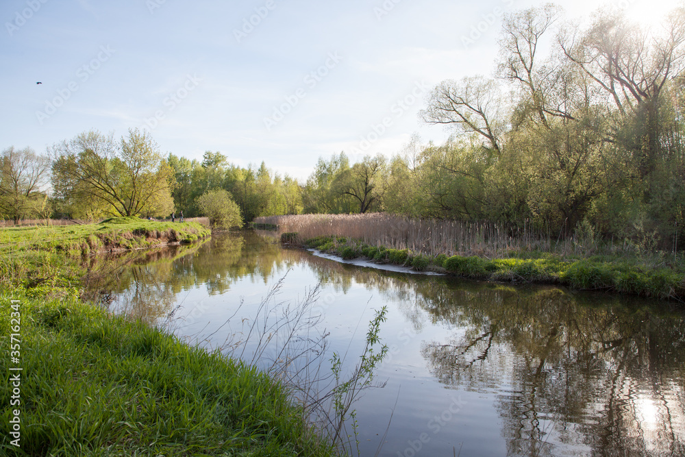 Creek with green trees, river floodplain Creek with green trees, river floodplain