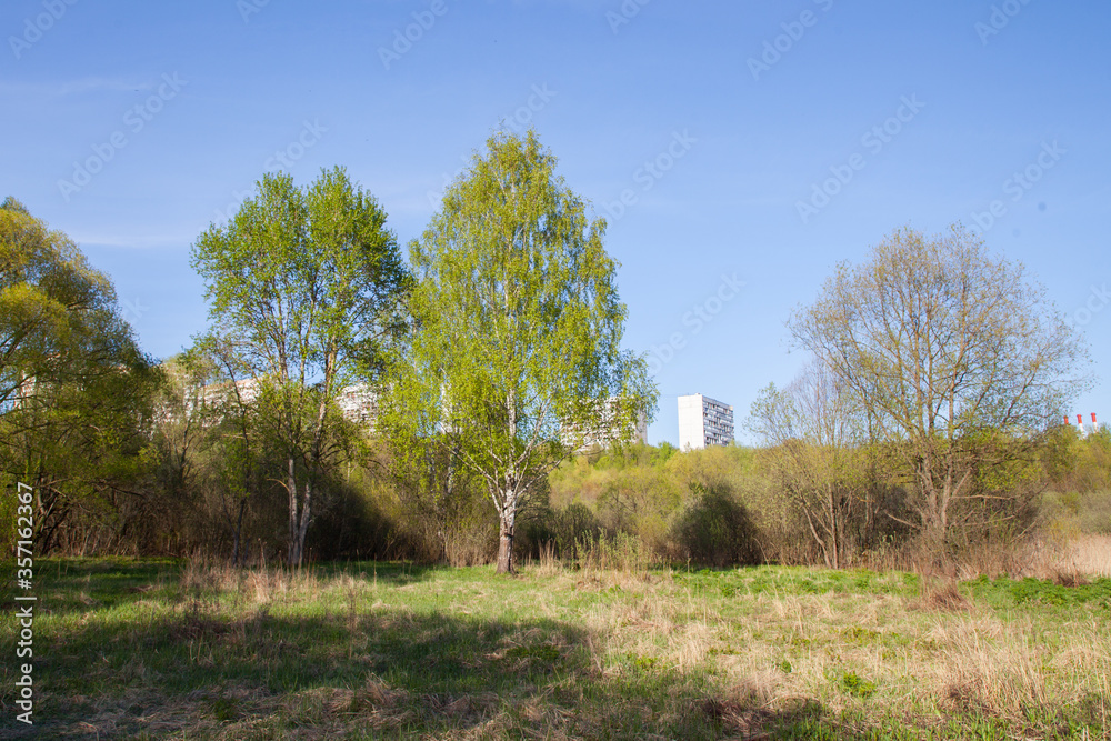 Dry grass, climbing a hill and apartment buildings, blue sky without clouds Dry grass, climbing a hill and apartment buildings, blue sky without clouds