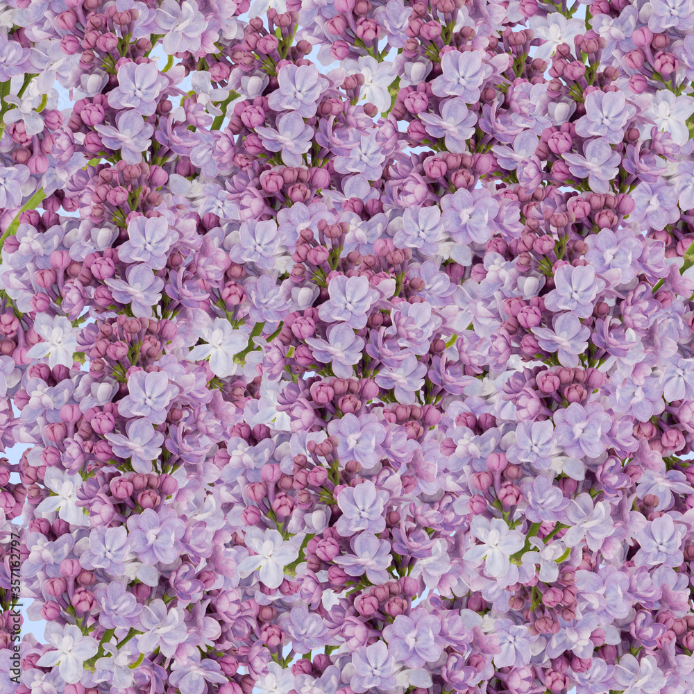 Obraz premium lilac flowers Seamless pattern