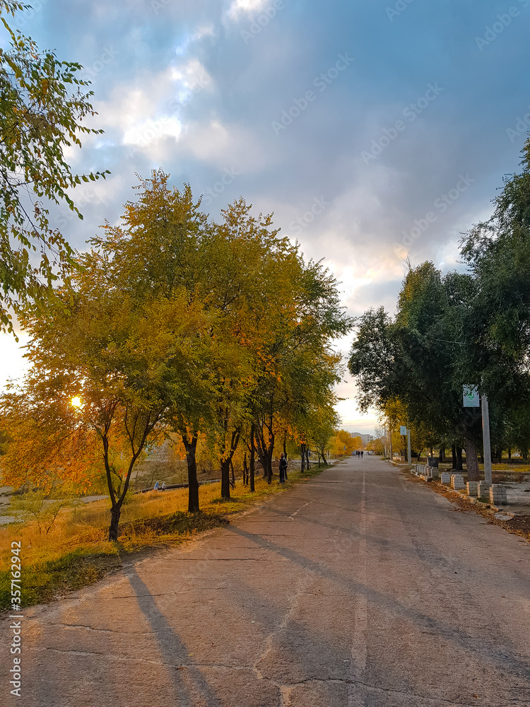 road in autumn road in autumn