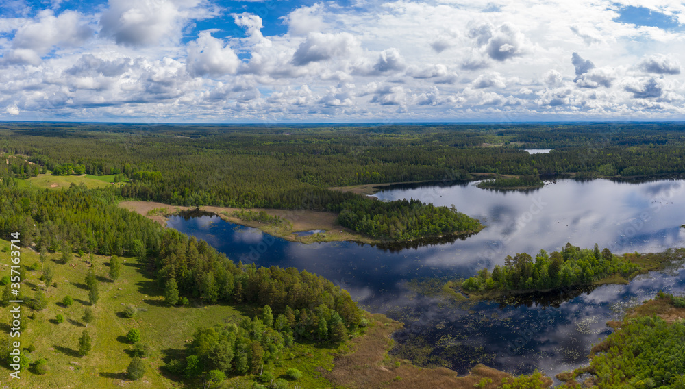 Forested panorama