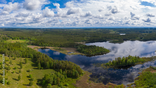Forested panorama