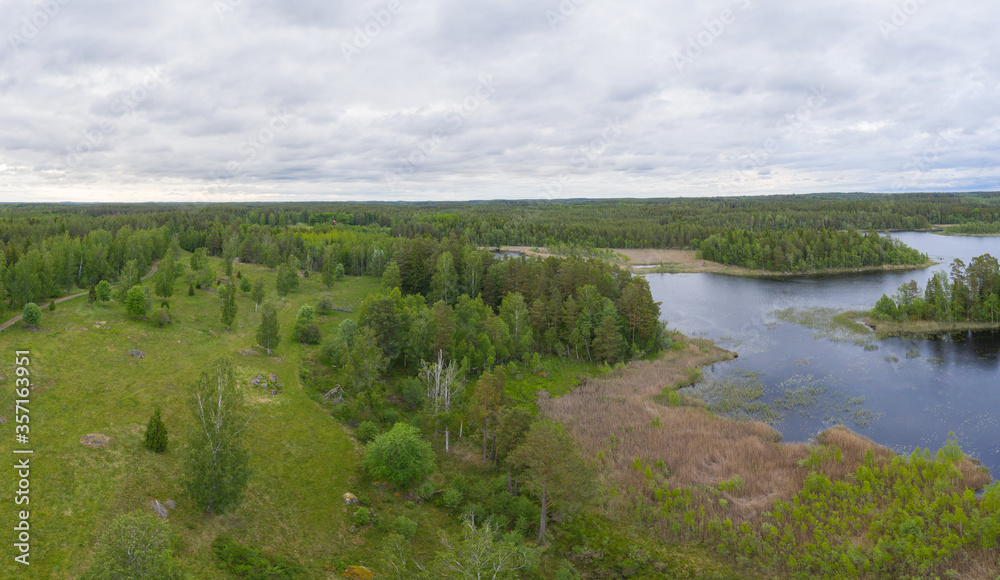Forested panorama