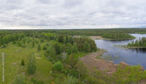 Forested panorama