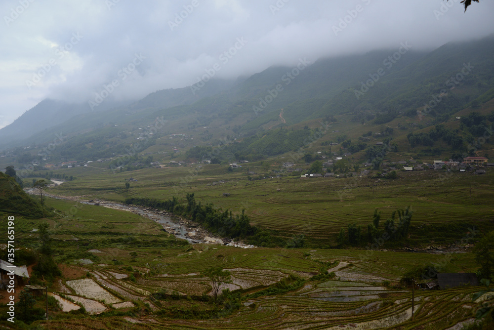 Fototapeta premium rice terraces in vietnam