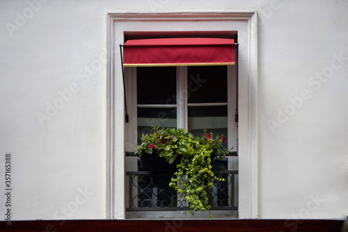 Window and flowerpot in Paris