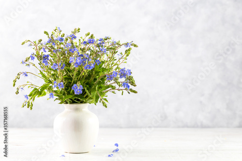 Image with blue flowers.