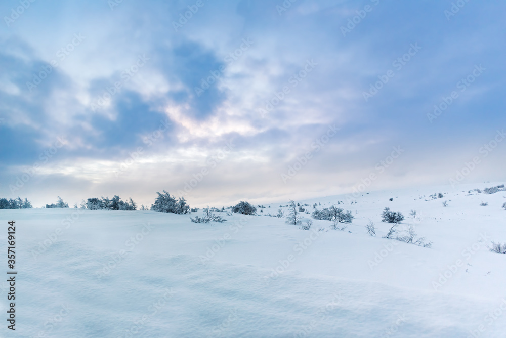 Snow covered winter arctic tundra landscape of unspoiled nature with scattered trees with plenty of space for text and copy Snow covered winter arctic tundra landscape of unspoiled nature with scattered trees with plenty of space for text and copy