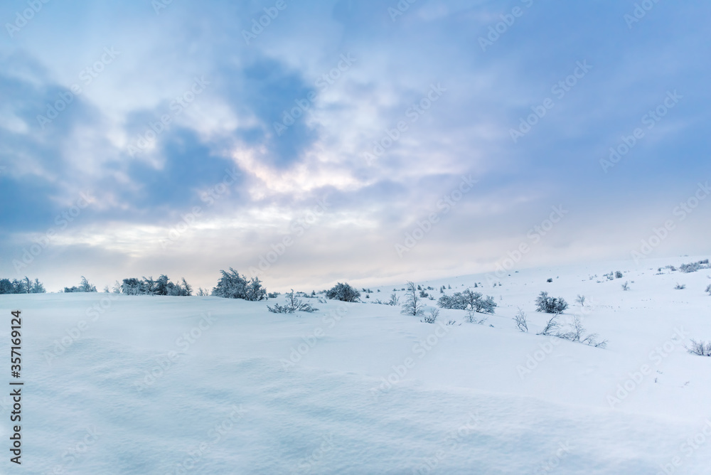 Snow covered winter arctic tundra landscape of unspoiled nature with scattered trees with plenty of space for text and copy