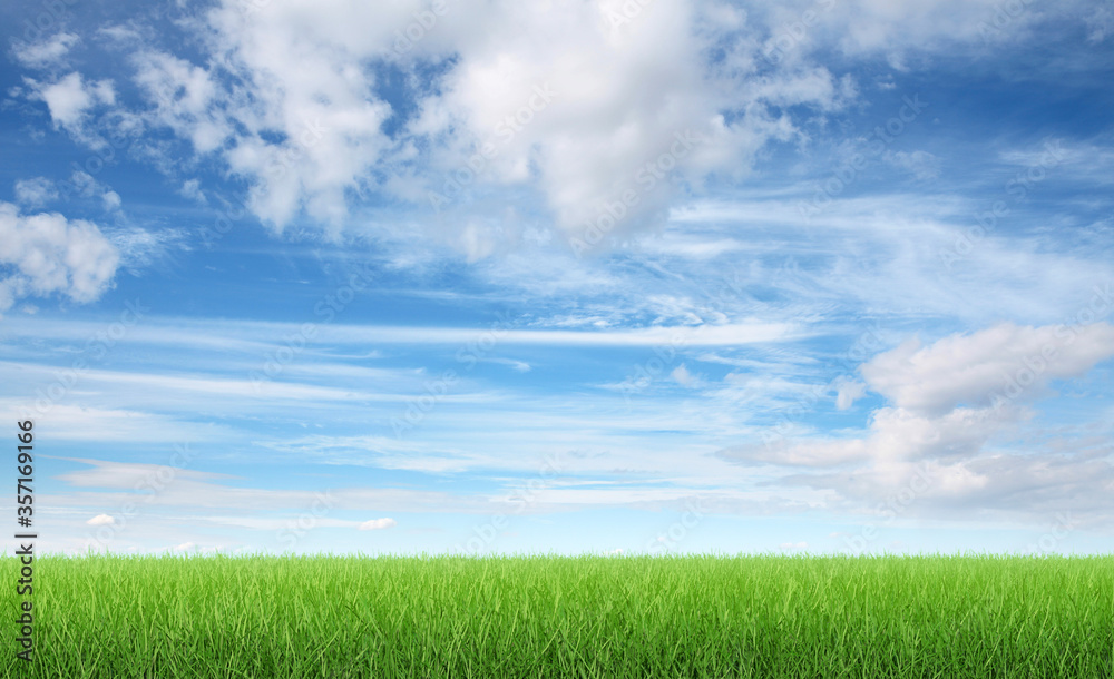 Green grass and blue sky 3d render
