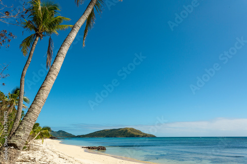 White tropical beach with palm trees