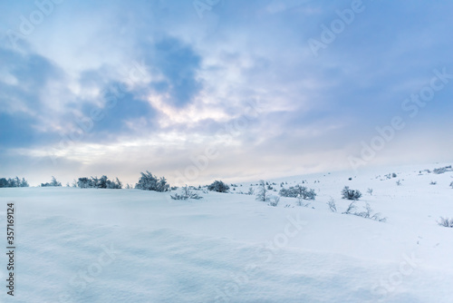 Snow covered winter arctic tundra landscape of unspoiled nature with scattered trees with plenty of space for text and copy